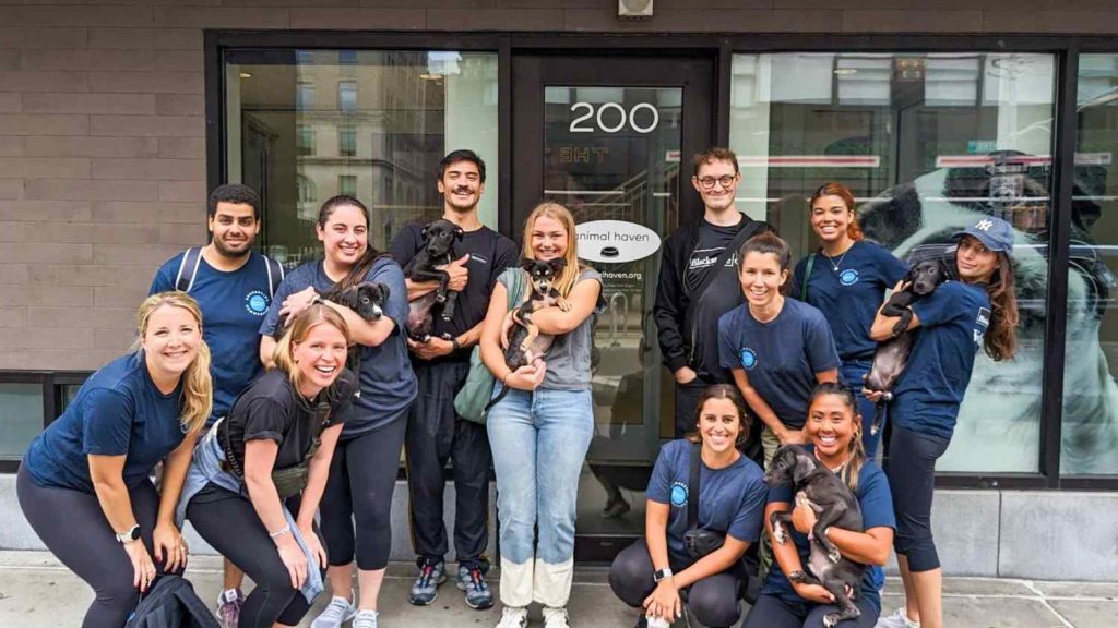 Community Volunteering Community Volunteering