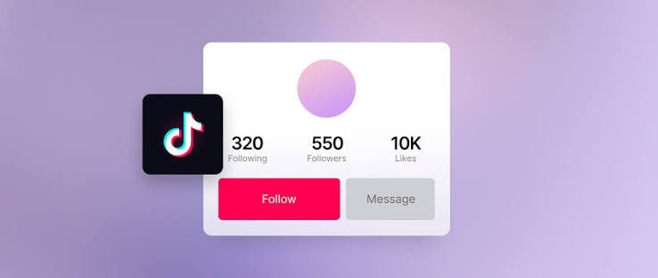 Types of TikTok Accounts